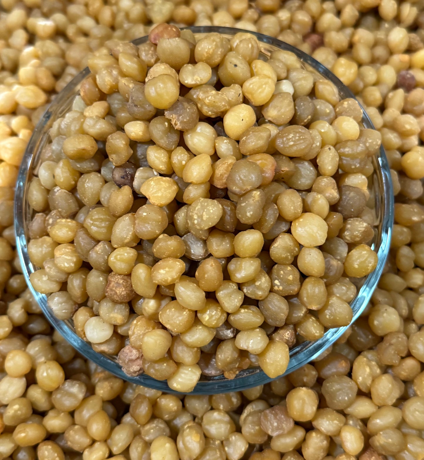 APKI ( APKI SEEDS) 4 oz / 113 g