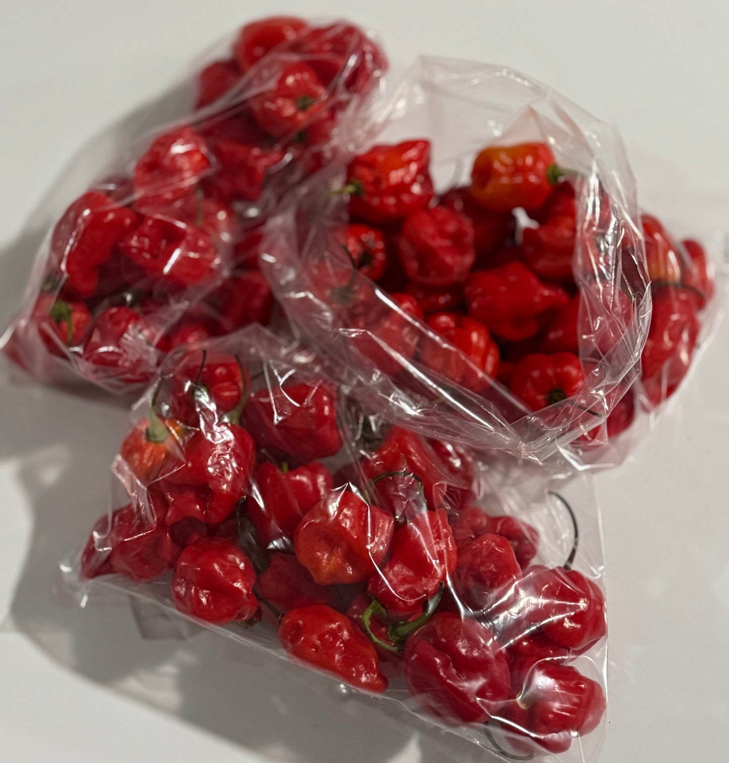 RED HABANERO PEPPER - 9.2 oz (262 g)