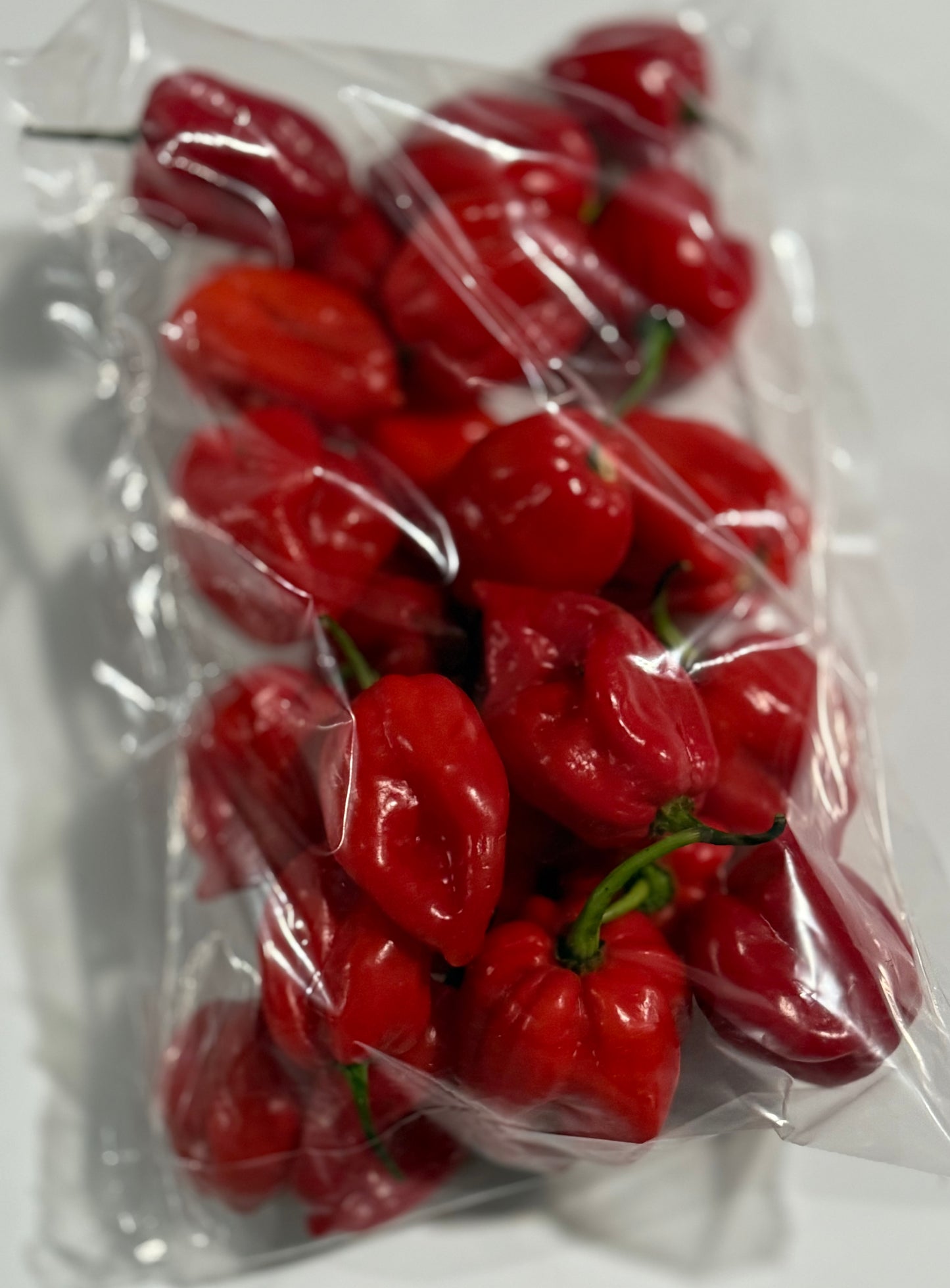 RED HABANERO PEPPER - 9.2 oz (262 g)
